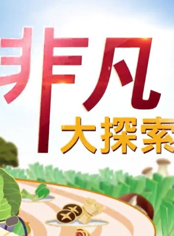 精品偷拍美女被操的满口淫语大叫喜欢你操我鸡巴又粗又长把我小骚逼都操开了好痒啊 - 天上人间